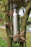 Stainless steel American-style single-layer small-mouthed sports kettle details Picture